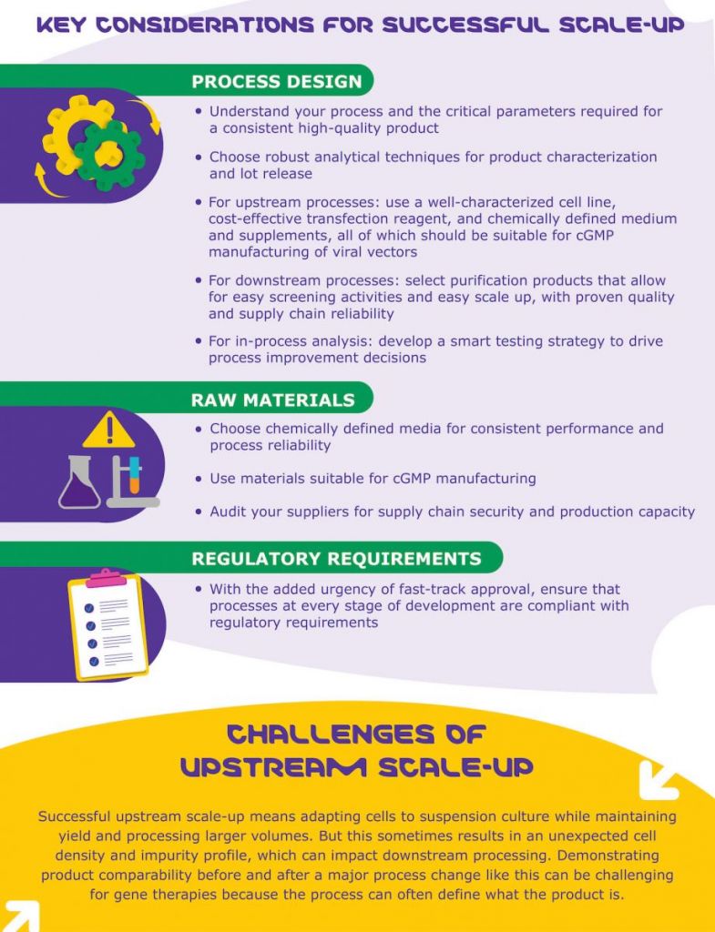 process development, gene therapies, viral vector supply
