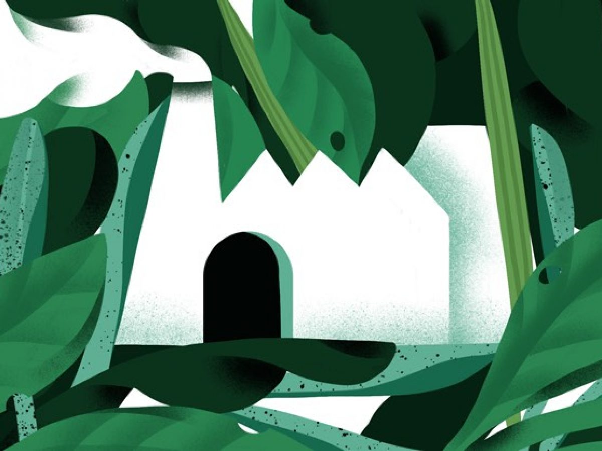 Cannabinoids In Focus After Gw Pharmaceuticals Snapped Up For 6b