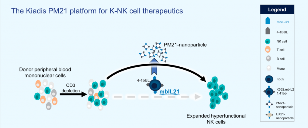 Kiadis Pharma, NK Cell Therapy Platform, Nanoparticles