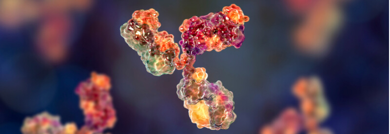 antibody, immune system