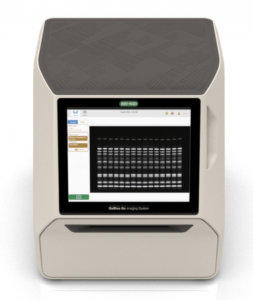 gel imaging, gel digitalization, GelDoc Go, Bio-Rad