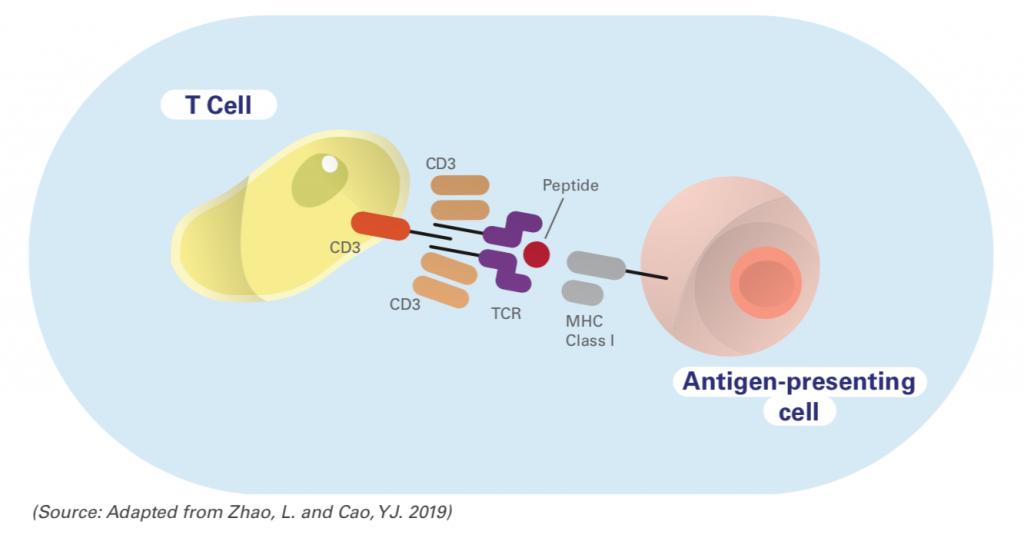 TCR cell therapy, immunotherapy, t cell therapy