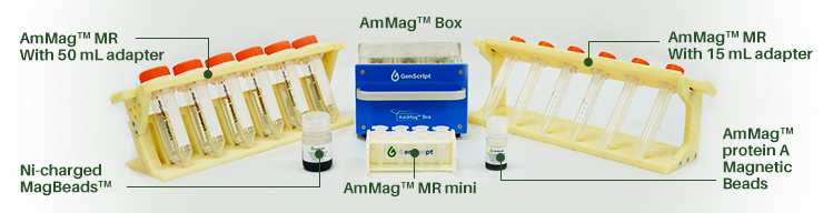 AmMag bead rack, Genscript