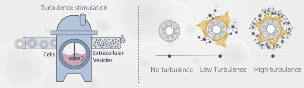 Everzom exosome technology