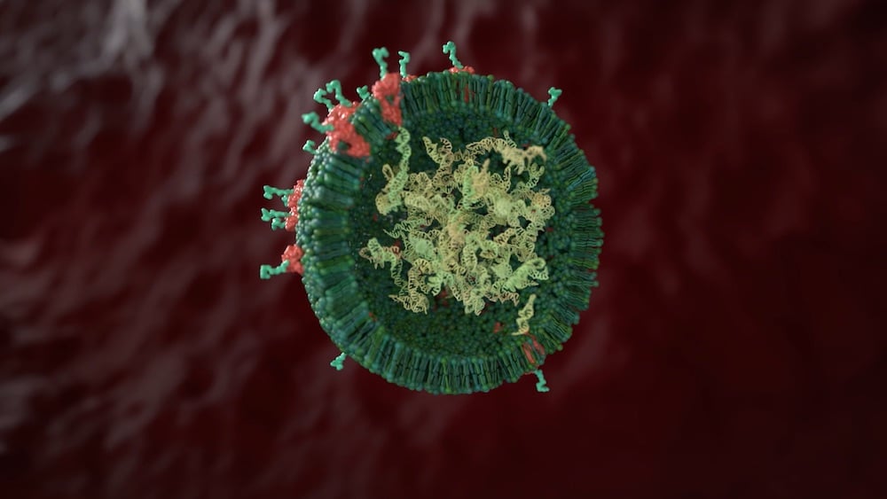 Exosome cross section