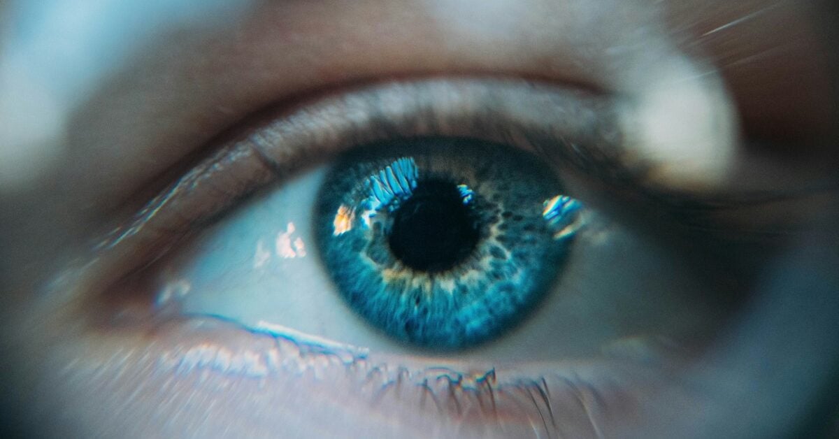 gene therapy for vision loss