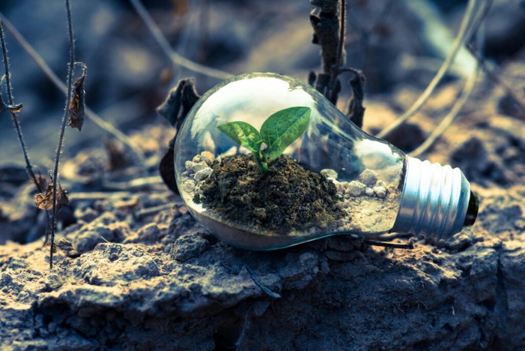 biomaterials in construction