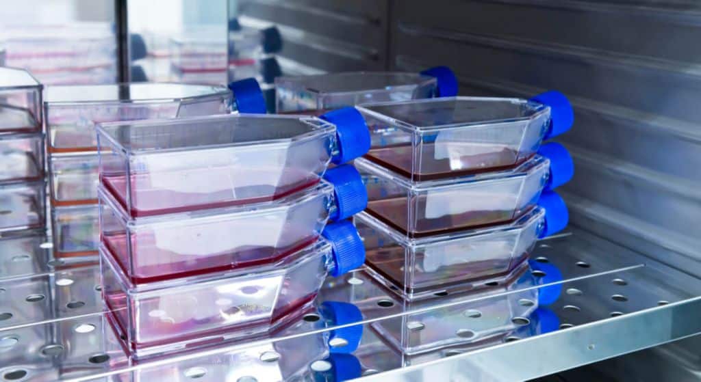 cell culture, biologics, amino acids, biotherapeutic agents