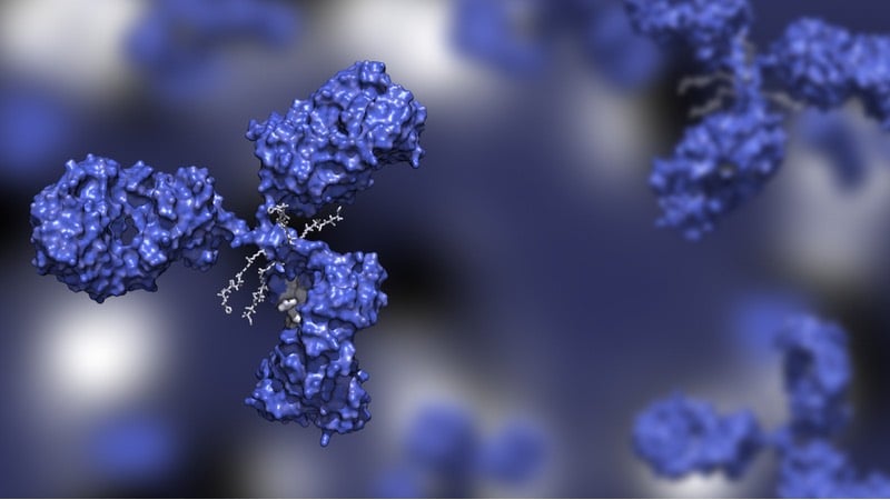 antibody-drug conjugate adc small cancer treatment