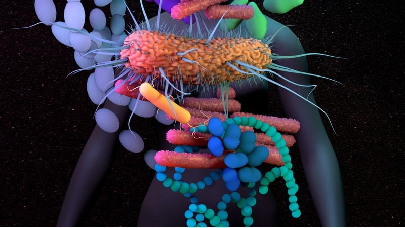 gut microbiota microbiome synbio eurekare