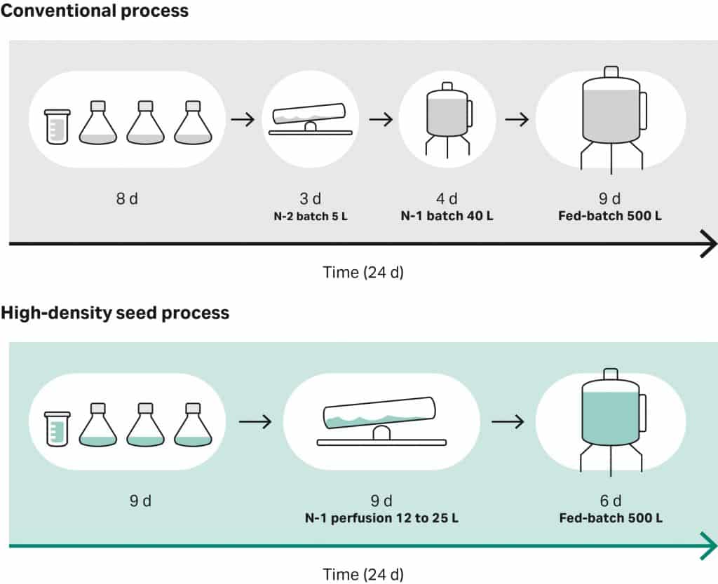 biomanufacturing, seed train, perfusion, bioreactor, cell culture expansion