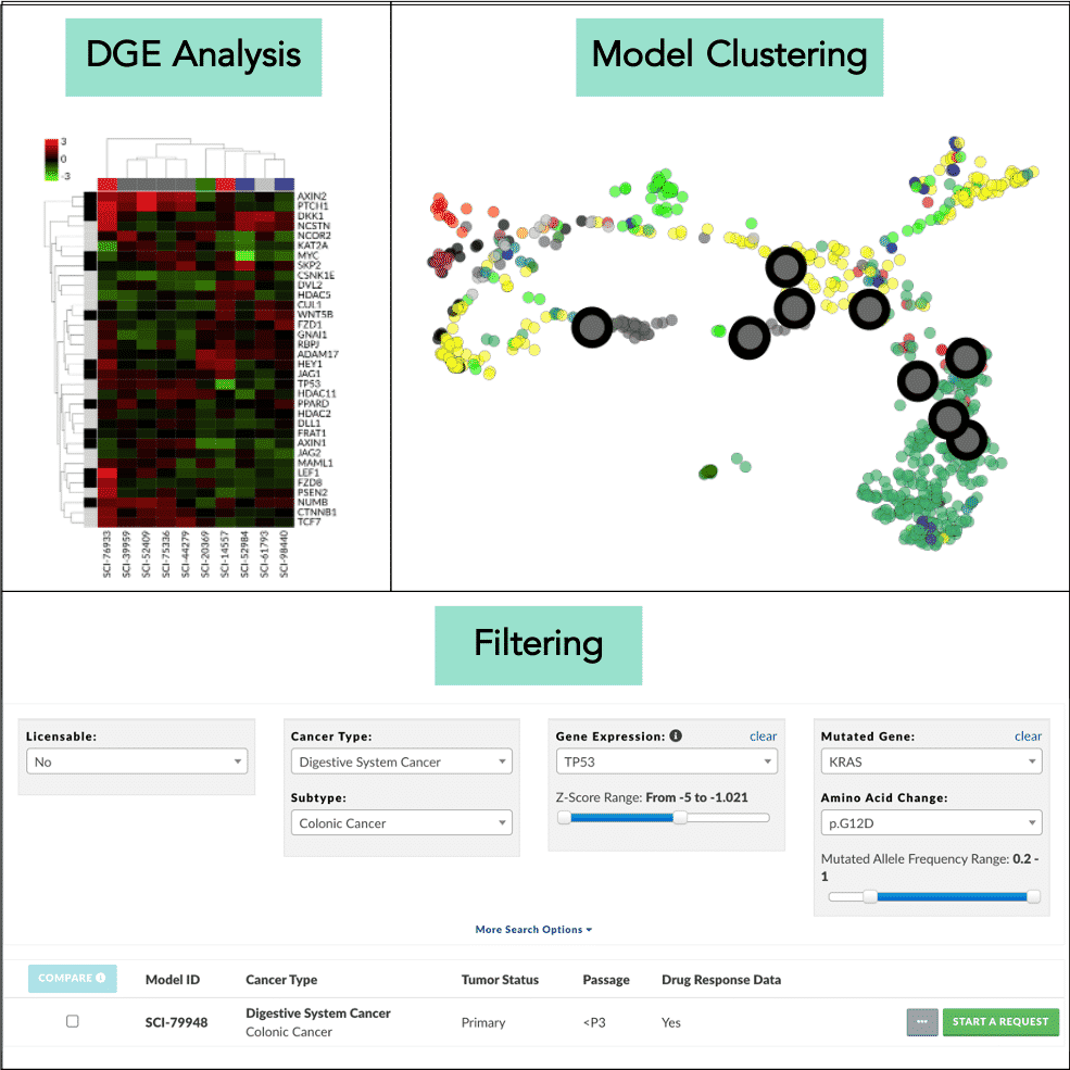 Disease Model Finder, Scientist.com, cancer drug discovery, AI