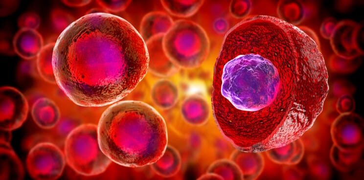 stem cells, hiPSCs, drug discovery, disease modeling
