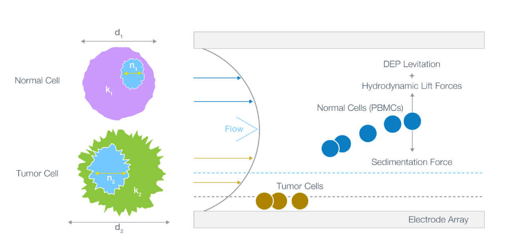 ApoStream, Precision for Medicine, circulating tumor cells
