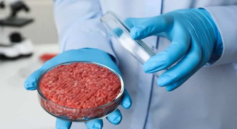 lab-grown meat, stem cell technology, cultured meat, stem cells