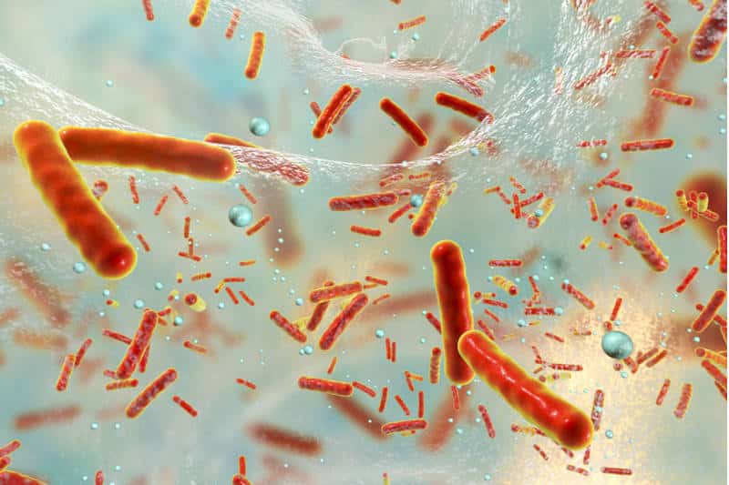 antibiotic resistance europe investment