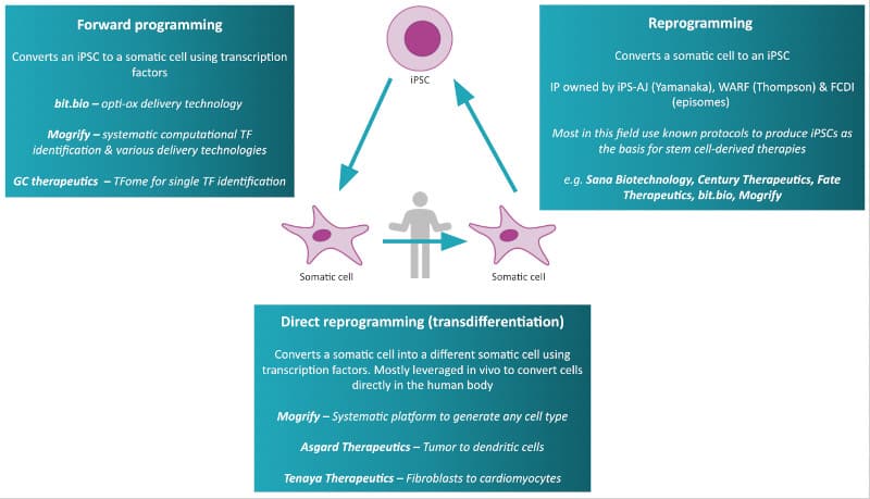 cell therapy techniques mogrify