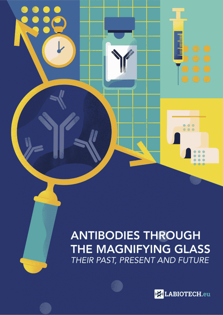 Antibodies Through the Magnifying Glass