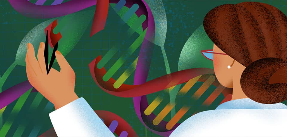 Gene editing crop phytoform