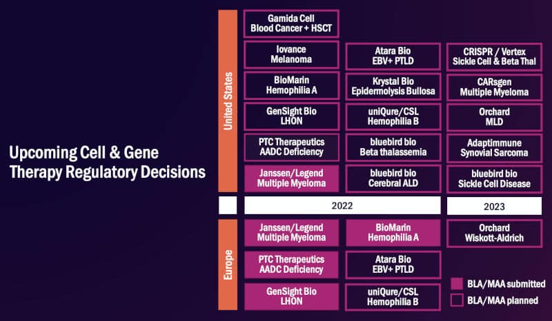 ARM advanced therapy approvals 2022