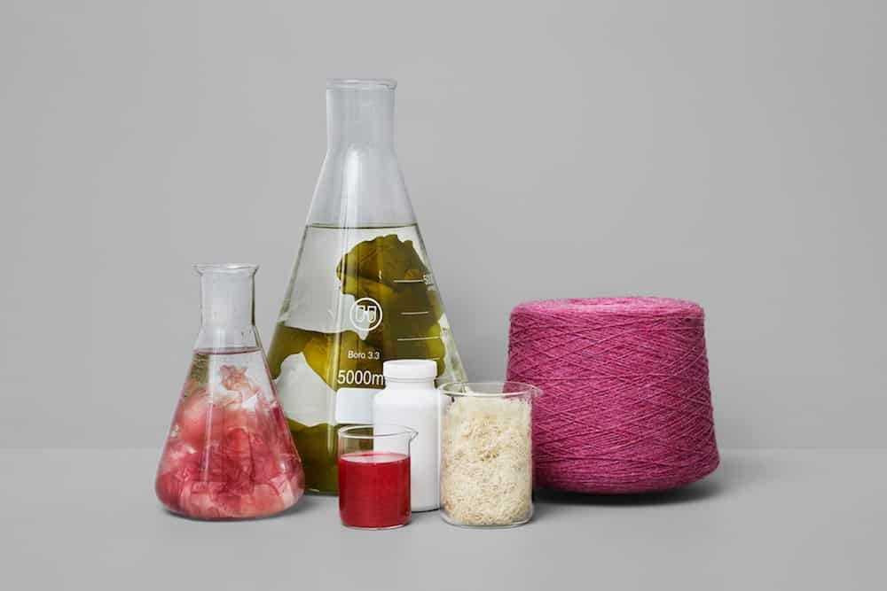 Algaeing textile dyes