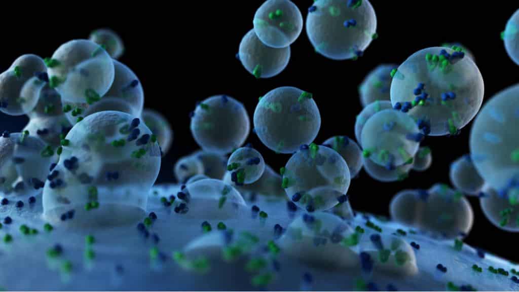 protein degradation amphista merck bms