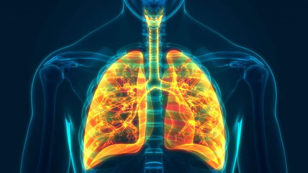 United Therapeutics creates 3D printed lung scaffold