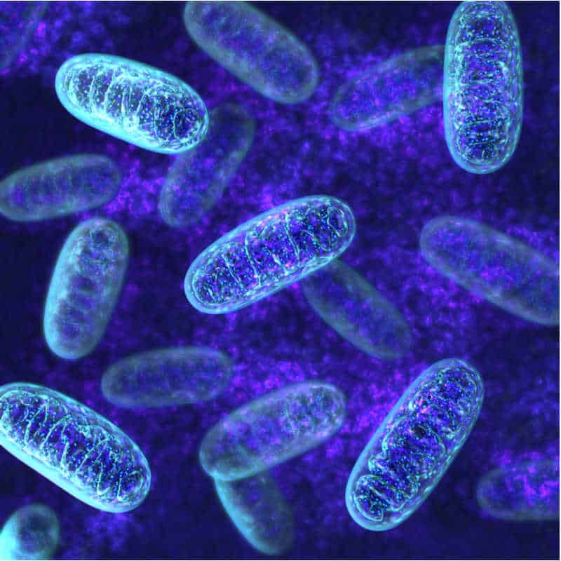mitochondria luca therapeutics