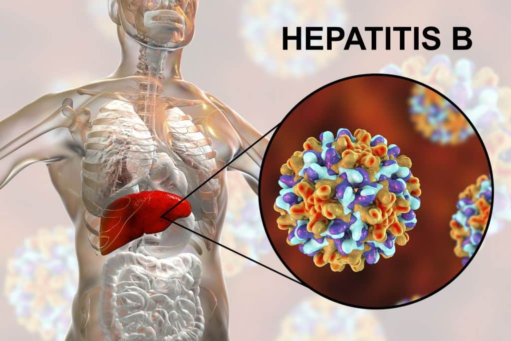 shutterstock hepatitis B