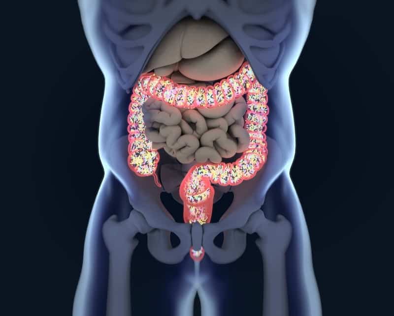 shutterstock microbiome