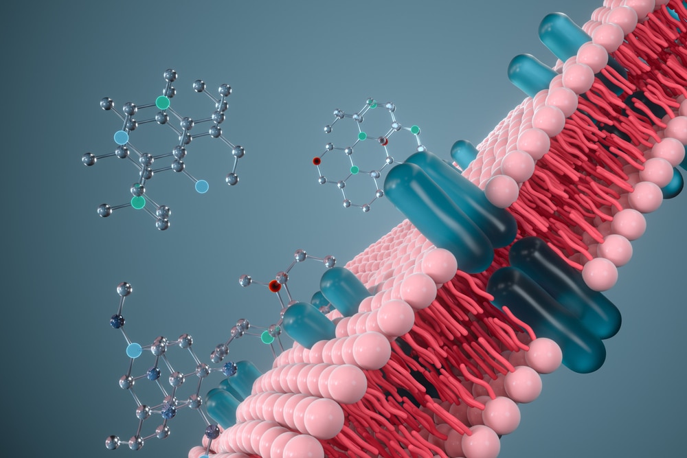 cell membrane