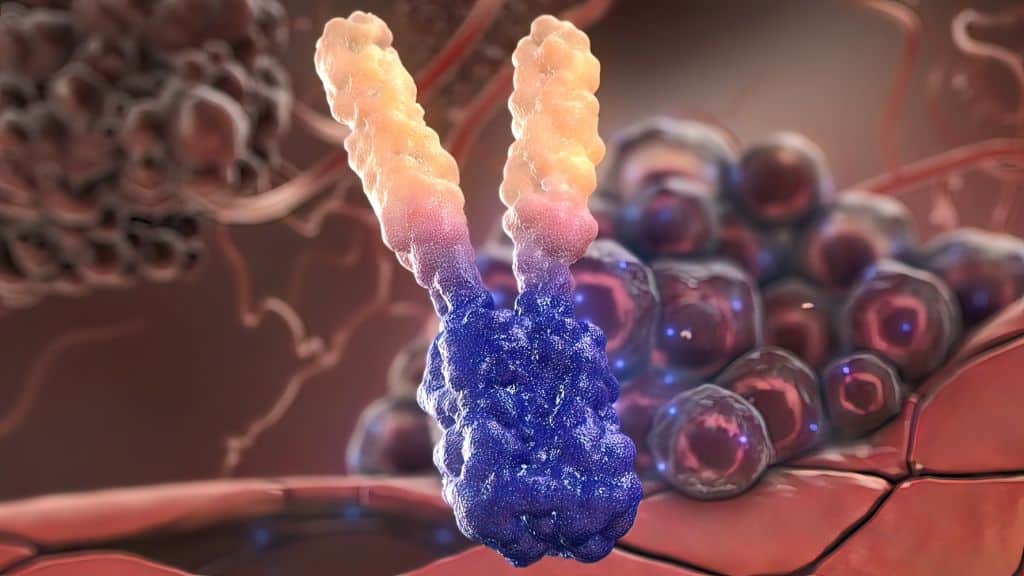 shutterstock cholesterol antibodies