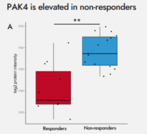  Key figures from the study highlight the upregulation of PAK4 as detected by Biognosys' proteome profiling with the TrueDiscovery platform and NeoGenomics immunofluorescence.