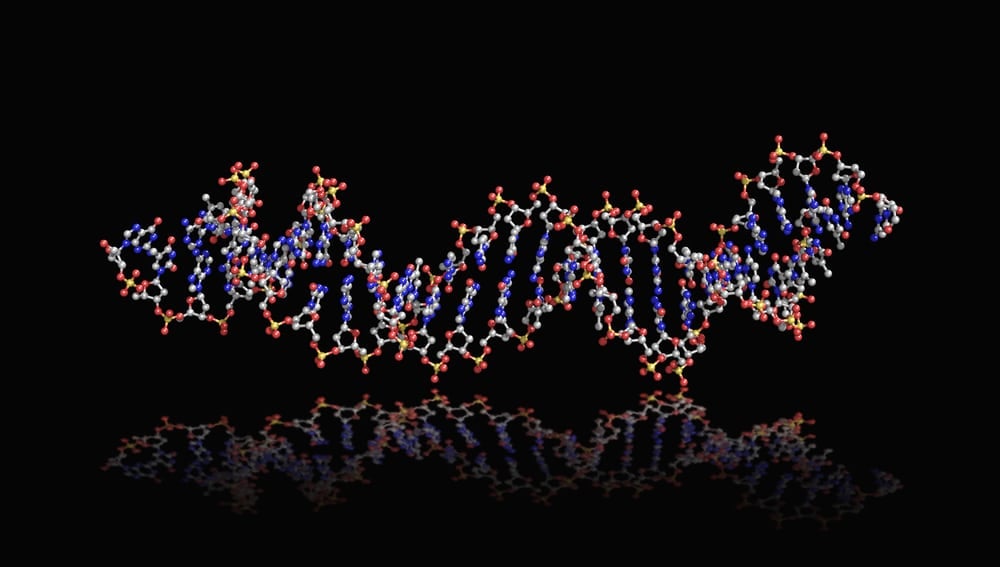 aptamer DNA