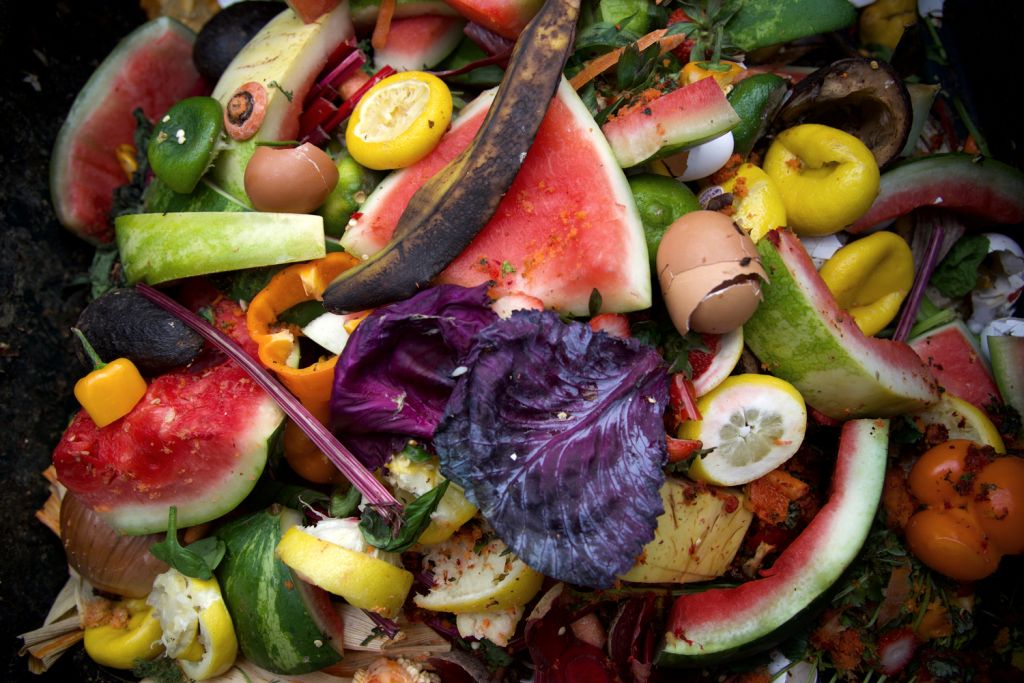 shutterstock food waste management