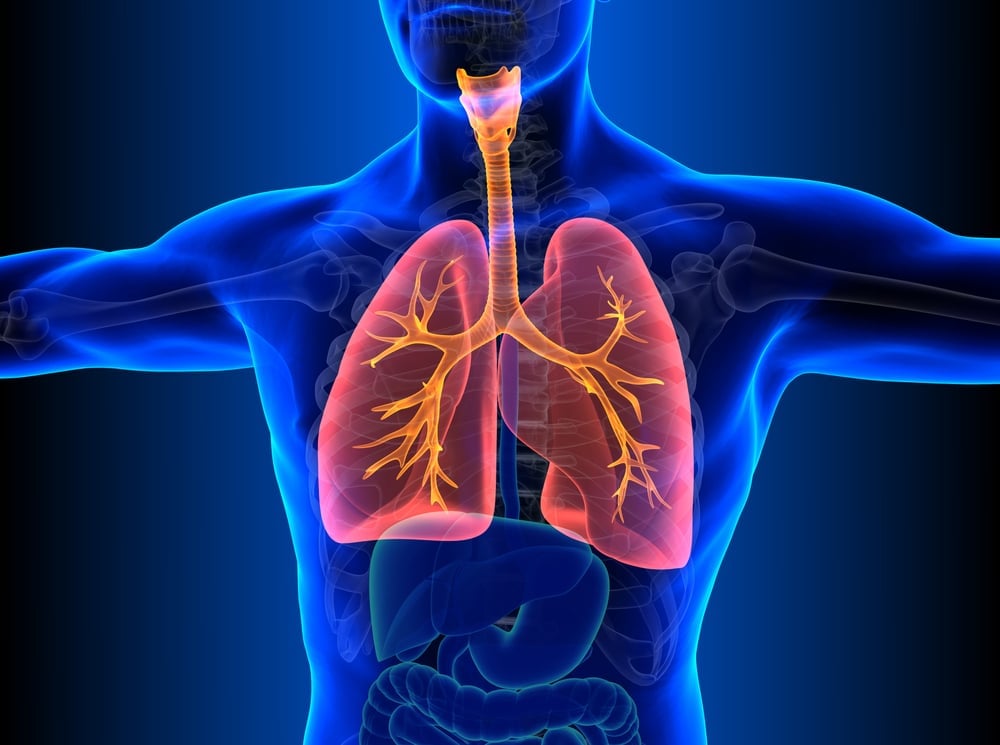 lungs lung disease