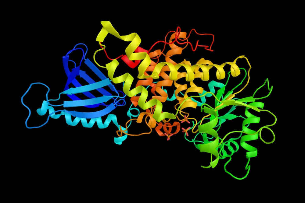 CMTRF funding for Samsara Therapeutics CMT treatment