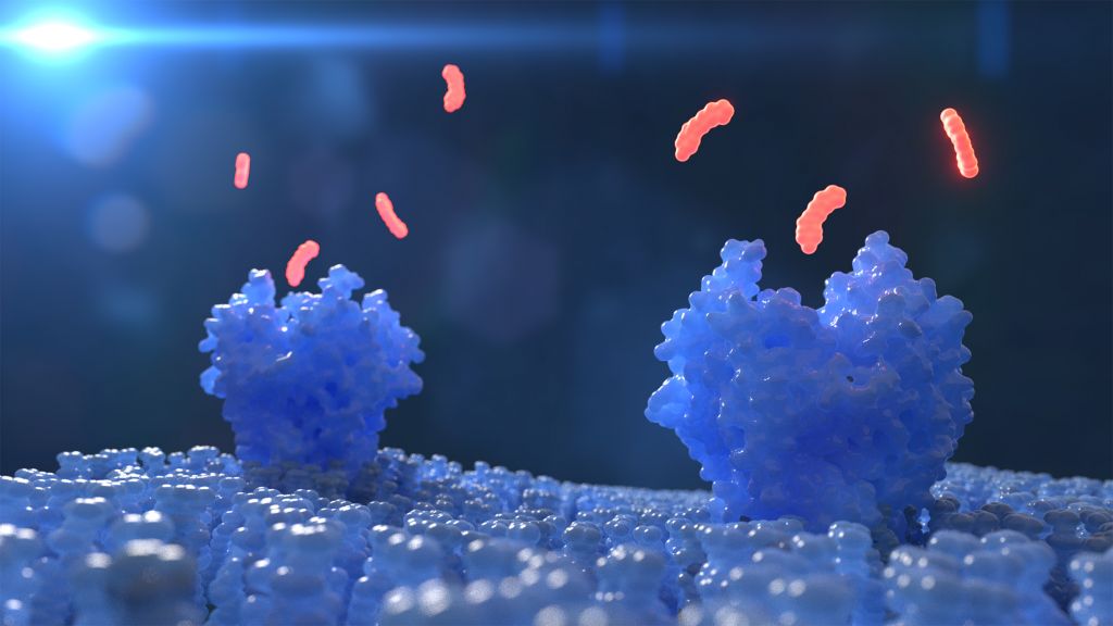 transmembrane protein platforms, drug development
