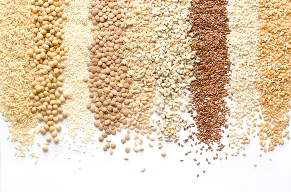 protein grains