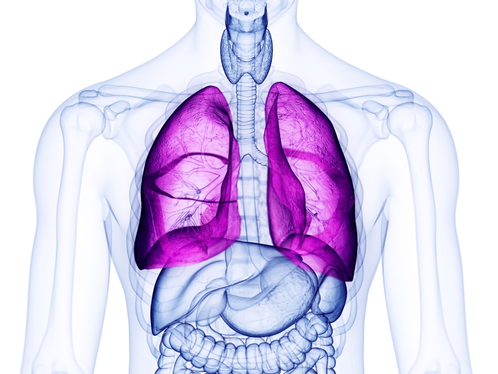 lungs cystic fibrosis