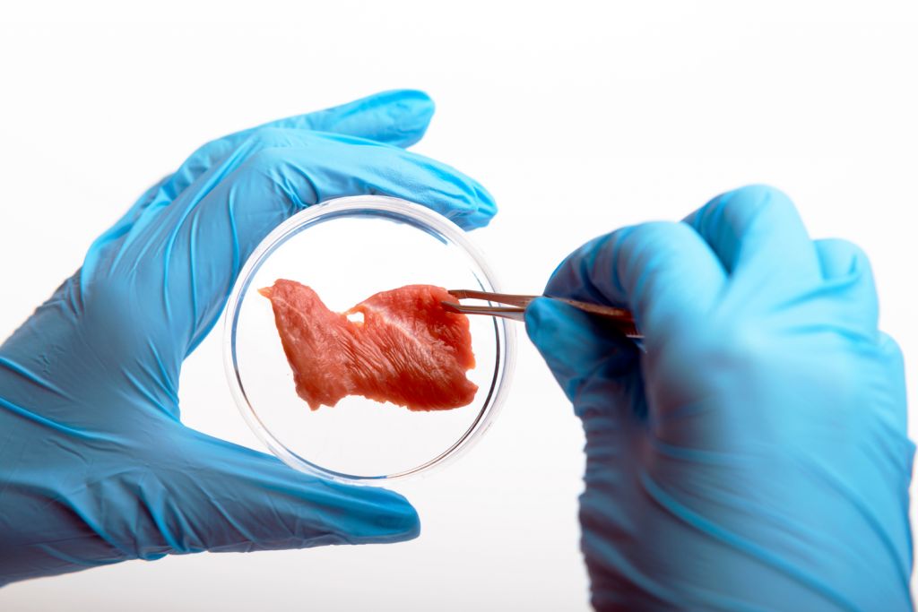 shutterstock synthetic biology meat