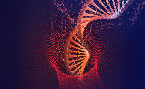 artificial DNA