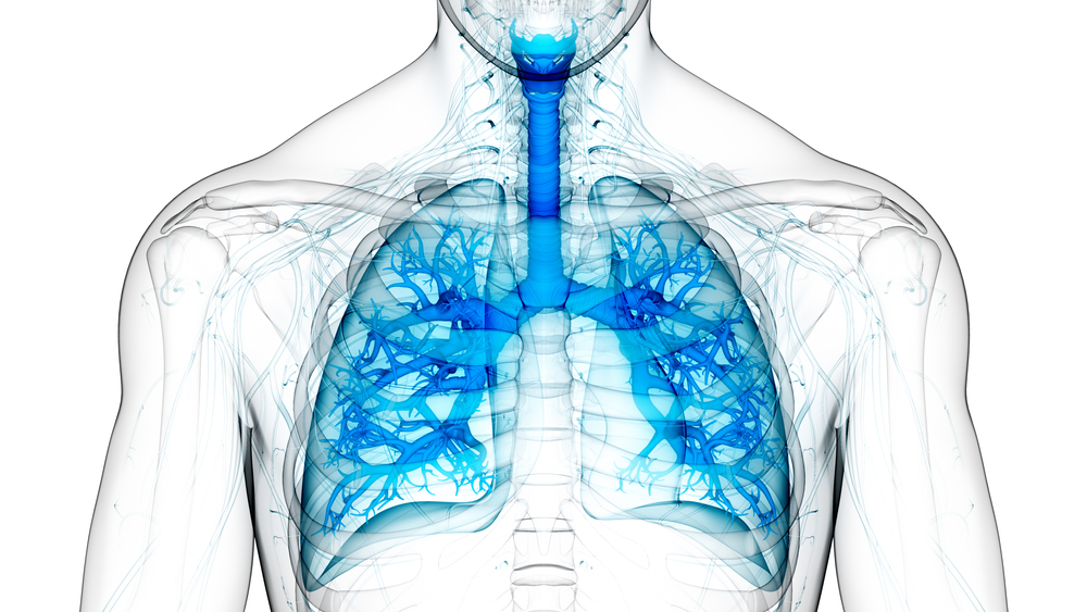 COPD lung disease chronic obstructive pulmonary disease