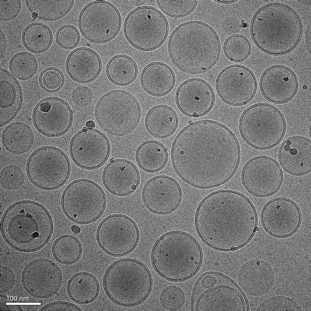 liposomes