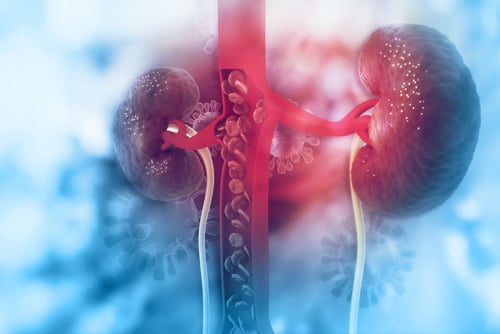 diabetic kidney disease