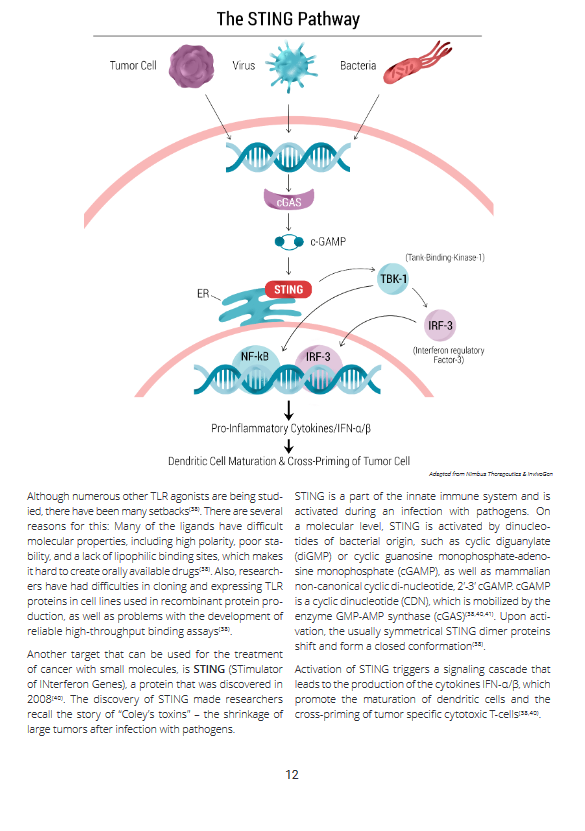 A guide to current therapies in immuno oncology 4