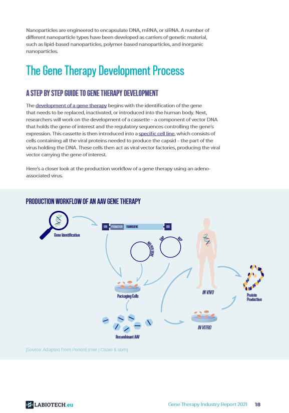 Gene therapy industry report 2021 4