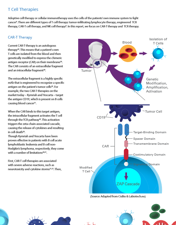 Navigating the immunotherapy maze 4