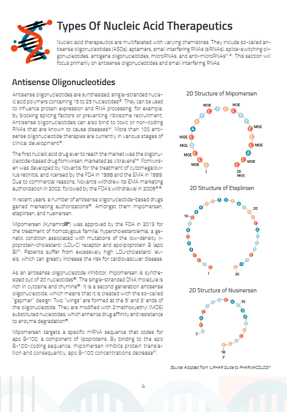 Peptides and nucleic acid therapeutics 4