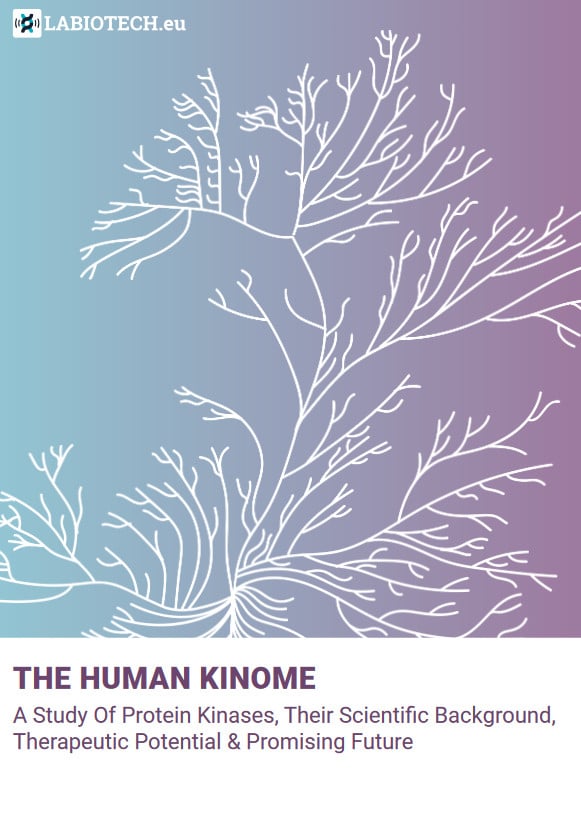 The human kinome 2